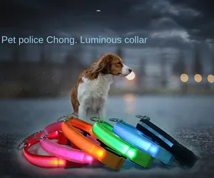 Collar de perro Led recargable por Usb, luz brillante y parpadeante