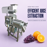 Commerciële Automatische Spirale Sapcentrifuge Motor 220V Hoge Productiviteit 3000W Fruitverwerkingsinstallatie Groente Sap Productiefabriek