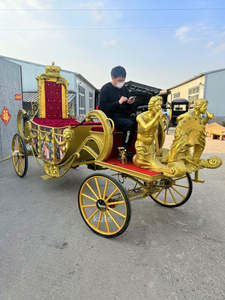 Calèche de mariage indienne Royal Victoria pour transport spécial - Product Image 1