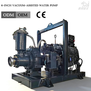 6 Inch High Water Pump Irrigation Agricultural Well Engine Cast Iron Pumps Horizontal M6 the Pump Body Is Cast From High-strengt - Product Image 5