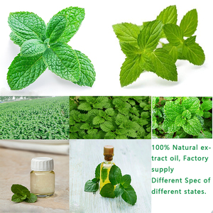 HONGDA נענע Nepeta Cataria Catnip תמצית אבקה - Product Image 2