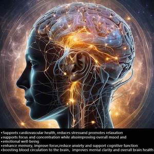 Label pribadi Memo Master suplemen otak <span class=keywords><strong>Pills</strong></span> - Natural nototropik untuk memori, fokus & kejelasan Mental-60 Kapsul - Product Image 2