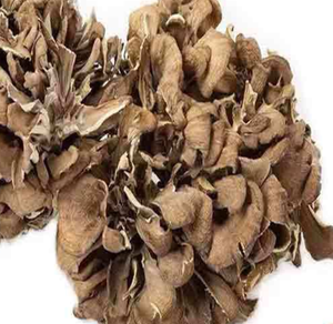 Thé aux champignons Maitake séchés entiers naturels, nourriture comestible, Grifola Frondosa, champignon sauvage pour la nourriture - Product Image 2