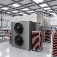 Nieuwste duurzame kersen- en tomatendroger, appel droogmachine te koop