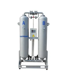 Biogas Desiccant Dryer High-Effectiveness Drying Equipment