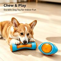 Jouets flottants pour chiens fabriqués en Chine : ensemble haltères, ballon de rugby, pour l'été, la piscine, les jeux de rapport pour chiens domestiques