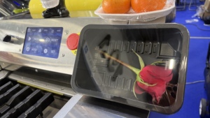 Machine d'emballage automatique grand format pour film plastique, spécialisée pour brochettes de bananes, viande, cadeaux haut de gamme, et destinée aux marchés alimentaires, à fonctionnement simple. - Product Image 4