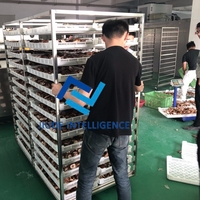 Pompe à chaleur à économie d'énergie de vente chaude 20 Kw Machine de séchage de pâtes Machine de déshydratation d'oignon pour Machine de dessiccateur de légumes de fruits 20P