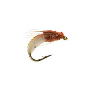Amaker - Señuelos de Pesca con Mosca, 5 Unidades por Caja, Color Carne, Señuelos Biónicos para Trucha, Cebo Artificial Suave para Lubina, Perca, Salmón, Pesca en Agua Dulce - Product Image 1