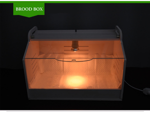 Couveuse et éleveuse de poussins entièrement automatiques à vendre à prix abordable - Product Image 3