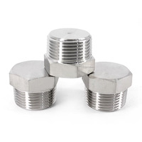Raccord à tige hexagonale en acier inoxydable 304 316, raccord NPT BSPT, taille de tuyau, bouchon hexagonal 1/4 3/8