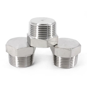 304 316 thép không gỉ Spigot Pin NPT bspt phù hợp kích thước ống Hex đầu cắm 1/4 3/8 - Product Image 2