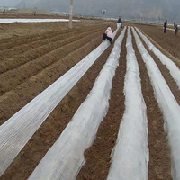 Couverture anti-gel en tissu non tissé pour l'agriculture, couverture de sol, tissu de jardin, couverture anti-gel pour plantes