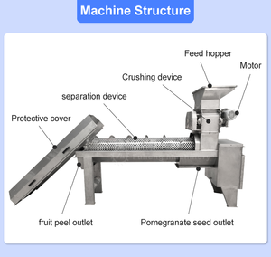 Machine à éplucher et à séparer les arils de grenade, prix abordable, certifiée CE - Product Image 5