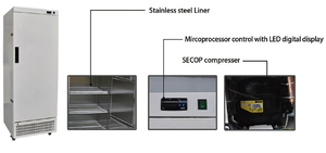 Congelador Comercial de Ultra Baja Temperatura de 278 L, -65 °C, Congelador de Transferencia Médica, Utilizado para Productos Acuáticos, DW-65L278, Baja Temperatura - Product Image 6