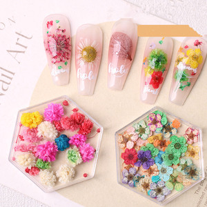 Pegatinas de Flores Secas de Colores Mezclados, Adornos para Manicura, Pétalos Coloridos, Decoraciones 3D para Uñas - Product Image 2