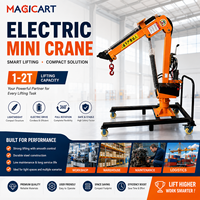 Mini grue électrique pliable pour sol, petite grue de levage portable, grue électrique de 2 tonnes pour l'entreposage