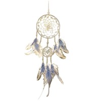 Hot Creative Ins Dreamcatcher Feather-hanger, windgong hangend ornament, Valentijnscadeau Grensoverschrijdende groothandel