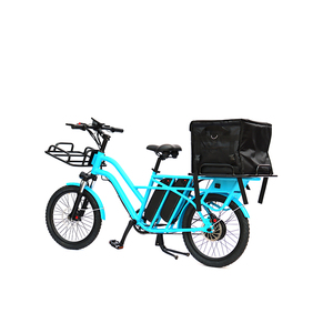 Bicicleta Eléctrica de Tres Ruedas de 20 Pulgadas con Marco de Aleación y Batería de Litio Grande de 48V/500W, Color Azul, Venta Caliente de Fábrica - Product Image 2