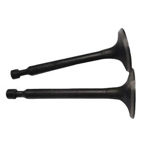 Pièces de générateur à essence 2kW durables : Paire de soupapes d'admission et d'échappement et de tiges de soupape pour pompe à eau dans les machines agricoles et de jardinage - Product Image 5
