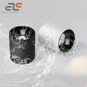 Bán buôn IP65 bề mặt được gắn Spotlight xuống ánh sáng đèn tại chỗ không thấm nước COB 10 15 20 30 40 60 100 wát Trần Led Downlight