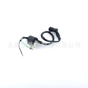 Transformateur haute tension d'allumage durable et efficace pour moto, véhicule tout-terrain, ATV, plage de tension 50-70-110-125 - Product Image 3
