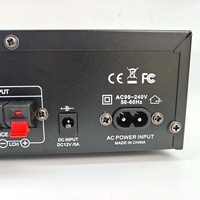 Yeni Metal Ses Sistemi Ev Amplifikatörü AK-45 USB Flash Sürücü HiFi 2 Kanallı Dijital Amplifikatör Karaoke için