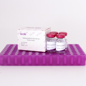 Sérum positif de grippe A <span class=keywords><strong>H1N1</strong></span> HI | Réactif de dosage d'inhibition de l'hémagglutination | QC de diagnostic et de vaccin conforme à l'OMS - Product Image 5