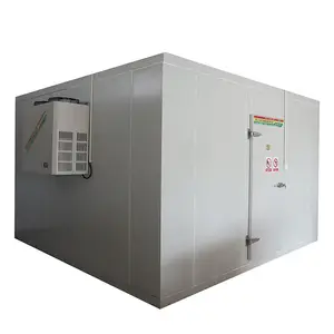 low temperature cold room for meat and fish
