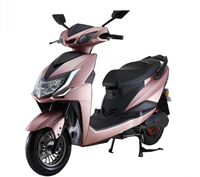 Moto électrique 1000W, roues de 10 pouces, scooter électrique de banlieue haute vitesse 45 km/h, modèle certifié CEE, best-seller fabriqué en Chine