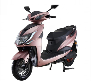 Motocicletta Elettrica 1000W, Ruote da 10 Pollici, E-Scooter ad Alta Velocità 45km/h per Pendolari, Modello Certificato EEC di Grande Successo Prodotto in Cina - Product Image 1