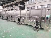 Pasteurisateur et stérilisateur de bouteilles en PET/verre modèle PL avec une capacité de 15 000 BPH, matériau SUS304