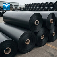 Géomembrane HDPE pour système de recirculation en pisciculture