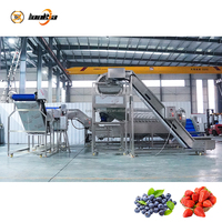 Automatische fruit- en bessenwasmachine, sorteermachine voor kumquats en aardbeien.