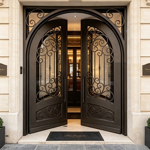 Porte en fer forgé avec vitrage cintrée, design classique à motifs en spirale, porte d'entrée résistante aux intempéries pour projet de villa - Product Image 2