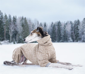 Qiqu suministros para mascotas personalizado nuevo diseñador de lujo pequeño mediano grande <span class=keywords><strong>Jack</strong></span> Russell <span class=keywords><strong>Terrier</strong></span> ropa cálida invierno perro cuello alto polar - Product Image 6