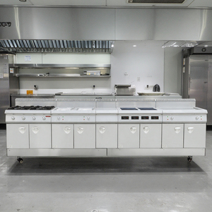 معدات مطبخ تجارية جديدة من الفولاذ المقاوم للصدأ للمطاعم تعمل بالكهرباء والغاز، تصميم للفنادق وحلول تقديم الطعام - Product Image 6