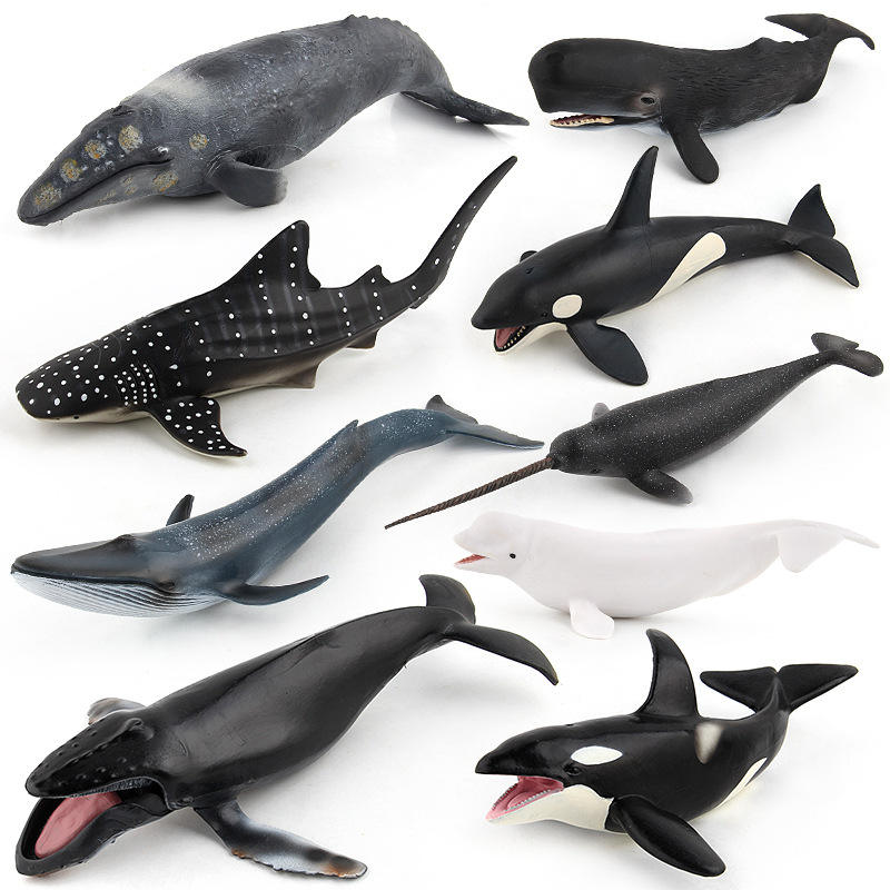 Simulation Whales Plastic Model Toys Kids Toy for Collection Educational  Marine Lifes Blue Whale Narwhale Humpback Killer Whale