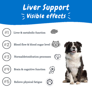 Líquido de Apoyo Hepático OEM/ODM para Mascotas, Ayuda Naturalmente a la Función Hepática Saludable en Perros y Gatos - Ayuda a Aliviar las Problemas de Salud Hepática - Product Image 2