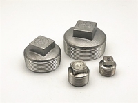 1 1/4 pouces Bouchon à filetage mâle DN32 NPT en acier inoxydable SUS304
