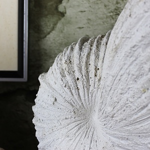 Commerci all'ingrosso Artificiale In Resina Ocean Collection Spirale Shell <span class=keywords><strong>Conchiglia</strong></span> <span class=keywords><strong>Vaso</strong></span> Per Il Giardino di Casa Della Decorazione - Product Image 2