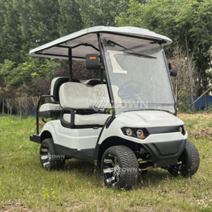 Carrito de Golf Eléctrico de 6 Plazas en Oferta, Pantalla Táctil, Luces LED, Diseño de Lujo, Alimentado por Litio, Homologado para Circular por la Calle - Product Image 6