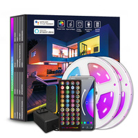 Lampu Strip LED Warna-warni Tuya Smart 20m dengan Remote Kontrol 24 Tombol USB 8mm Bodi Lampu PVC Hitam untuk Lanskap