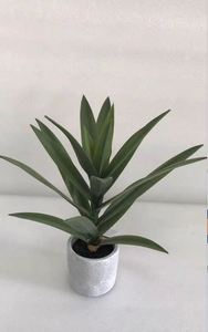 New Design Factory Directly <strong>Sale</strong> Artificial <strong>Yucca</strong> Tree Latex Greenery <strong>Plant</strong> in Cement Pot - Product Image 2