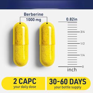 Capsules de berbérine en marque privée OEM/ODM - Complément de berbérine naturelle de haute pureté - Product Image 5