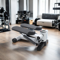 Équipement d'entraînement à domicile Stepper d'escalier pour l'exercice Mini Steppers avec bande de résistance Hydraulic Fitness Stepper