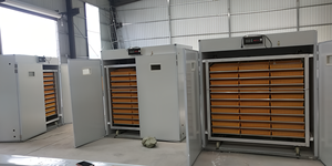 Incubatore completamente automatico a umidità controllata per uovo di gallina incubatore di pollame - Product Image 6