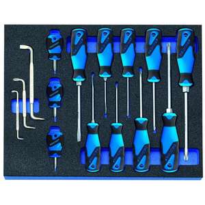 GEDORE - 2016311 Screwdriver set in CT <b>tool</b> module (15 pcs.) - EAN 4010886878323 <b>OTHER</b> <b>TOOL</b> SETS - Product Image 1