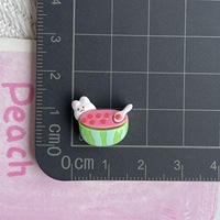 Mini watermeloen konijntje beer ijsje mungboon ijslolly plastic hars DIY accessoires romige lijm telefoonhoesjes haarclips dieren