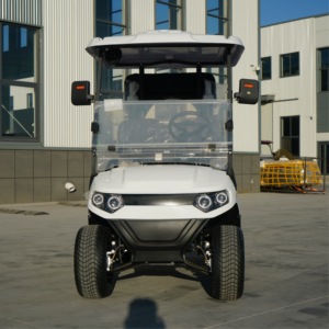 Auto Elettrica da Golf a 2 Posti di Alta Qualità per Hotel, Campus, Parchi, Caricabatterie Rapido, Golf Buggy, Auto Turistica per Aeroporti, Servizio OEM - Product Image 1